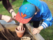 Projekt Babka Kořenářka