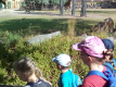 ZOO