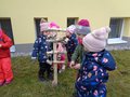 kopretiny-ptacci