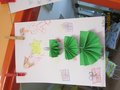 fotka  (34)