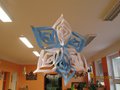 fotka  (31)