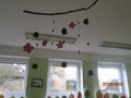 fotka  (102)