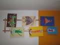 tvoreni (88)