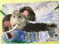 IMG_1831