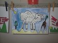 IMG_3067
