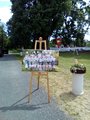 IMG_20170609_144351