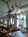 IMG_20170619_085801