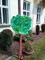 IMG_20170609_144356