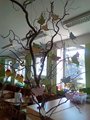 IMG_20170619_085803