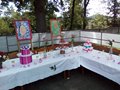IMG_20170609_144505