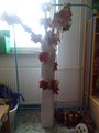 IMG_20171012_105926