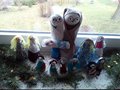 IMG_20171222_124547