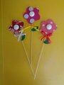 DSC00430