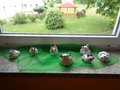 DSC00438