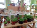 DSC00424