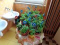 DSC00417