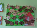 DSC00452