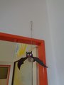 DSC00443