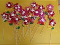 DSC00429