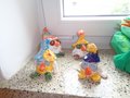 DSC00446
