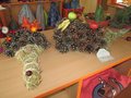 IMG_6641