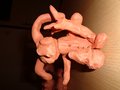 DSC06611