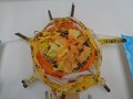 DSC01207