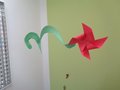 DSC07397