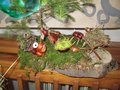 IMG_6629
