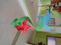 DSC07398
