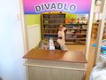 DSC06780