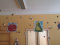IMG_6548