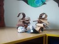 IMG_20200129_124350