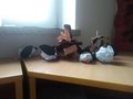 IMG_20200129_124354
