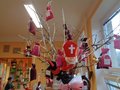 DSC08895