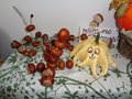 DSC08470