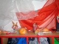 DSC08887