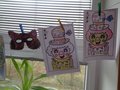 DSC08184