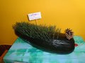 DSC08374