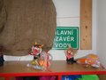 DSC08885