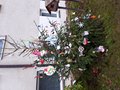 20191219_095323