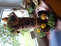DSC08369