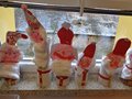 DSC00631