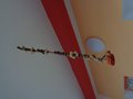 DSC00203