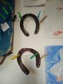 IMG_20201113_155038