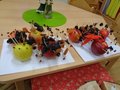 DSC00797