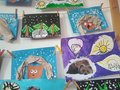 IMG_20210218_081724