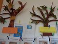 DSC00371