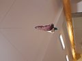 20201218_071840