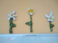 IMG_20210218_081956